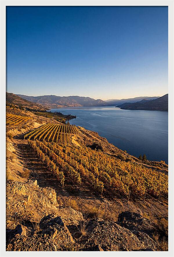 Golden Hour Over Okanagan Lake