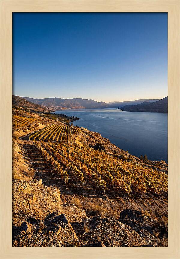 Golden Hour Over Okanagan Lake
