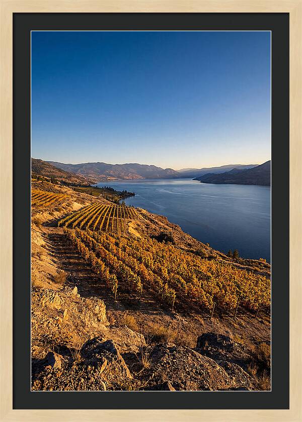 Golden Hour Over Okanagan Lake