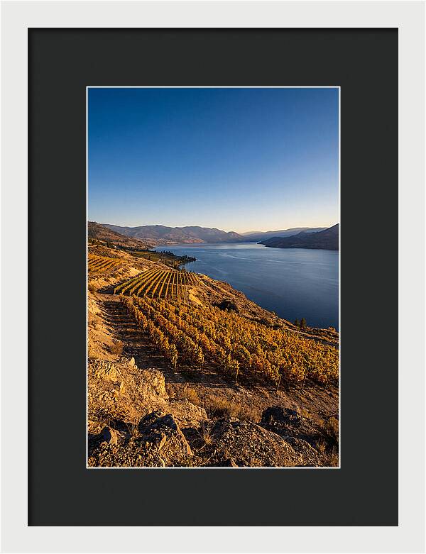 Golden Hour Over Okanagan Lake