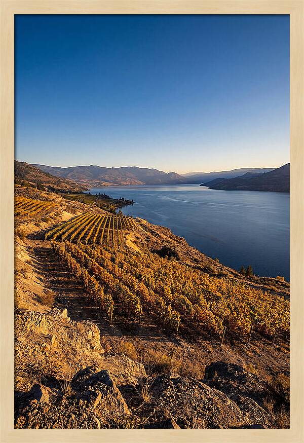 Golden Hour Over Okanagan Lake