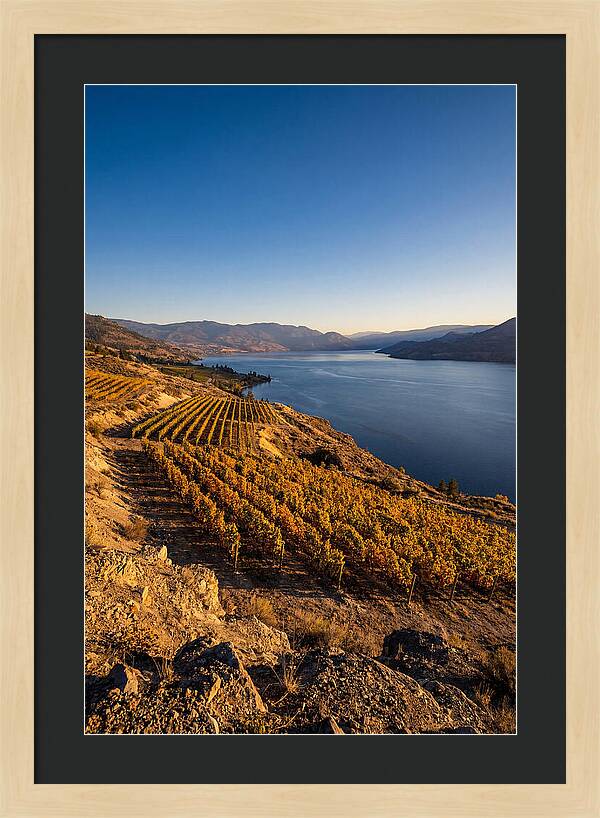 Golden Hour Over Okanagan Lake