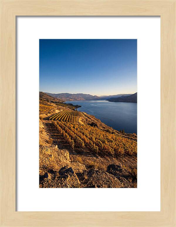 Golden Hour Over Okanagan Lake