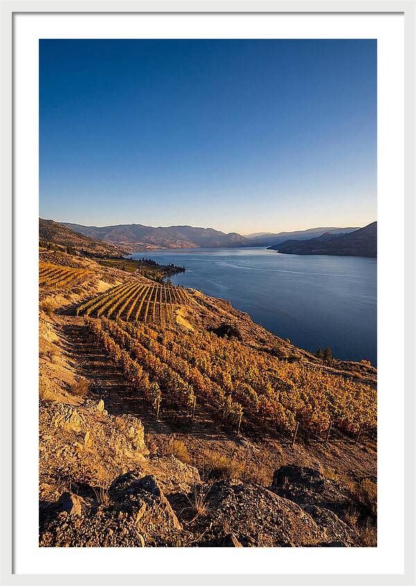 Golden Hour Over Okanagan Lake