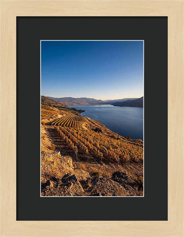 Golden Hour Over Okanagan Lake