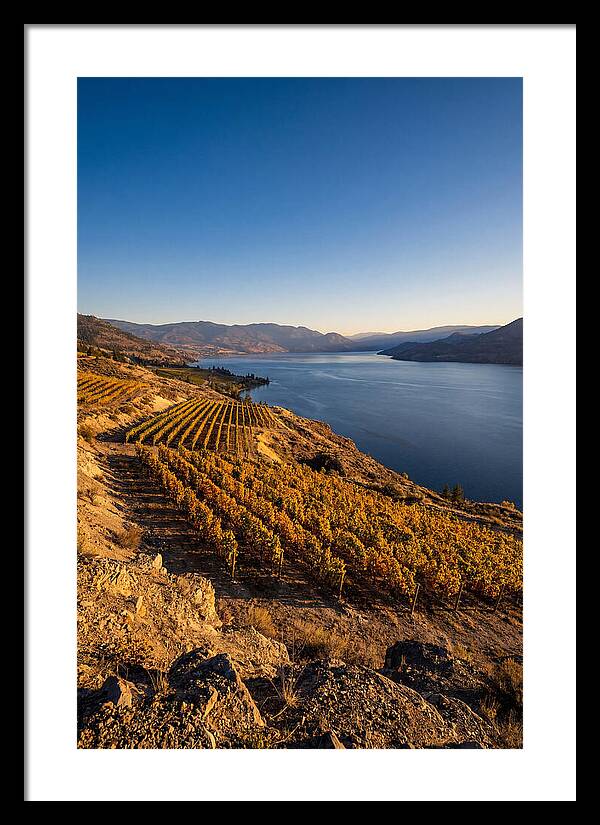 Golden Hour Over Okanagan Lake