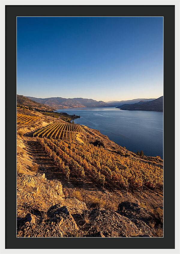 Golden Hour Over Okanagan Lake