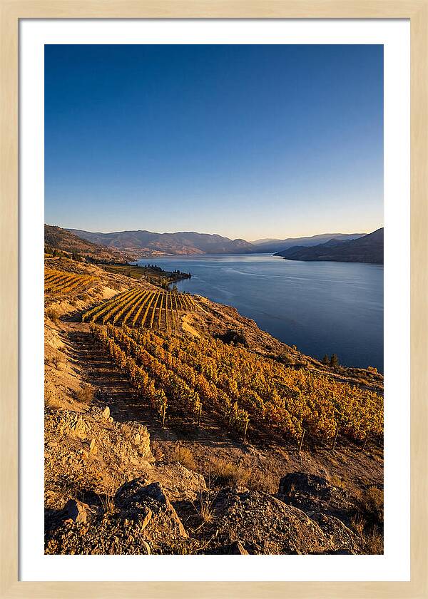 Golden Hour Over Okanagan Lake