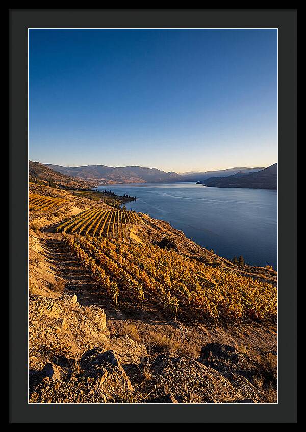 Golden Hour Over Okanagan Lake