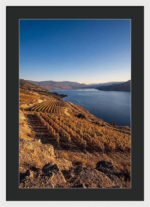 Golden Hour Over Okanagan Lake
