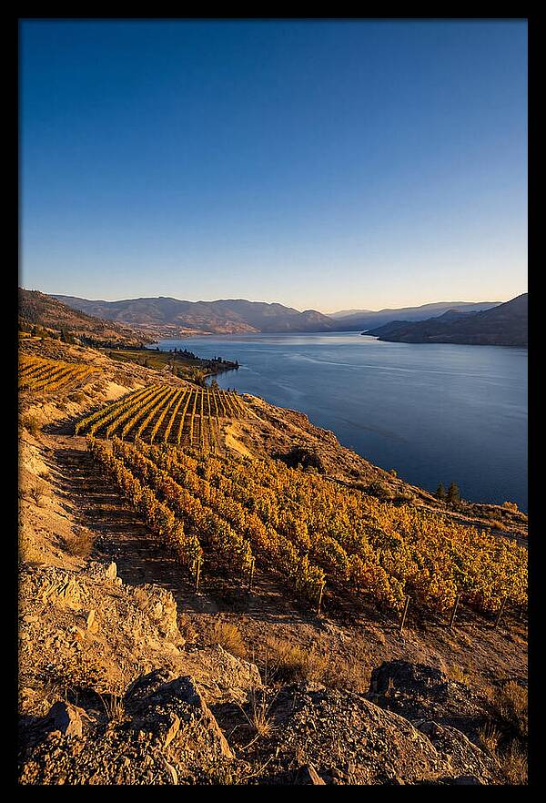 Golden Hour Over Okanagan Lake
