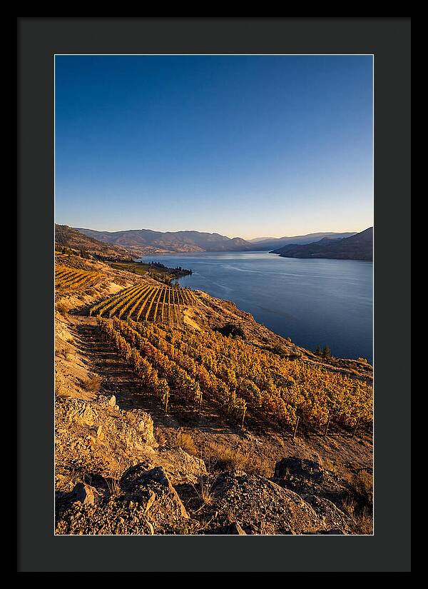 Golden Hour Over Okanagan Lake