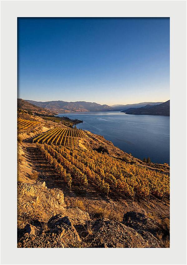 Golden Hour Over Okanagan Lake