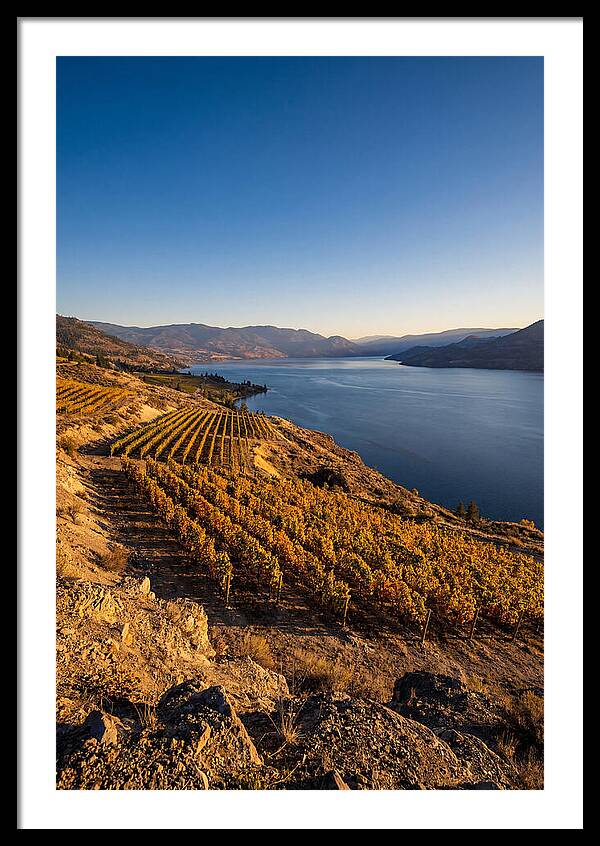 Golden Hour Over Okanagan Lake