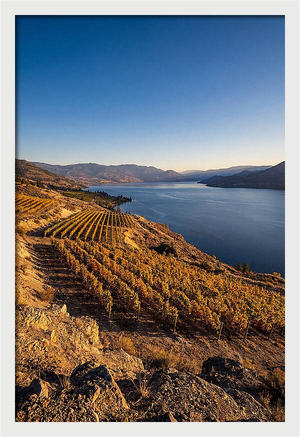Golden Hour Over Okanagan Lake