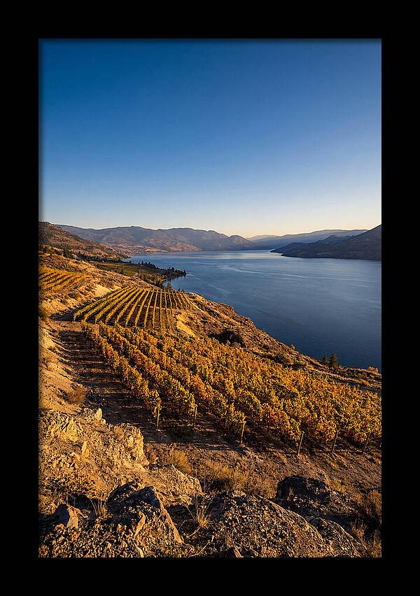 Golden Hour Over Okanagan Lake