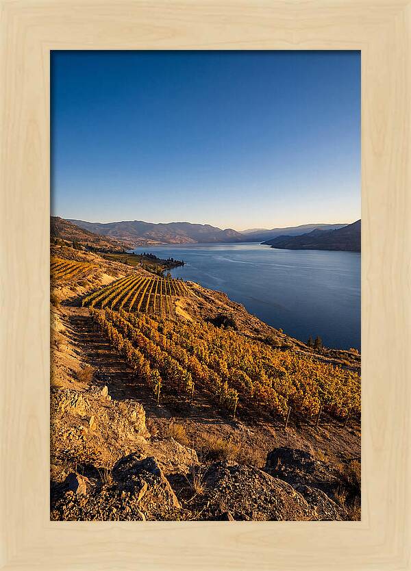 Golden Hour Over Okanagan Lake
