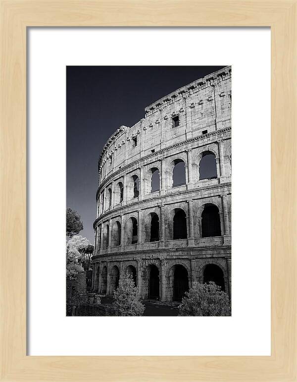 Golden Hour Over The Colosseum