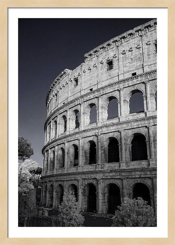 Golden Hour Over The Colosseum