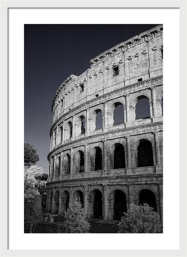 Golden Hour Over The Colosseum