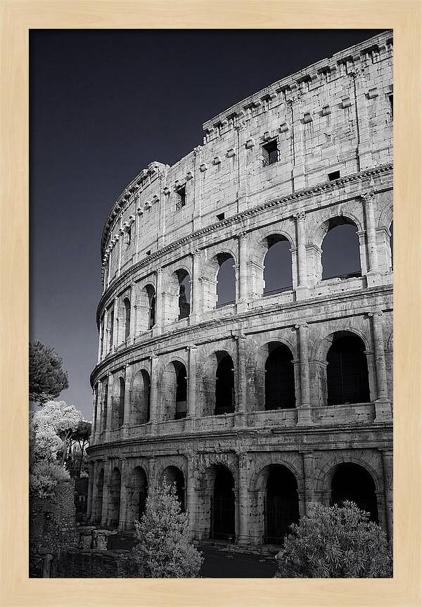 Golden Hour Over The Colosseum