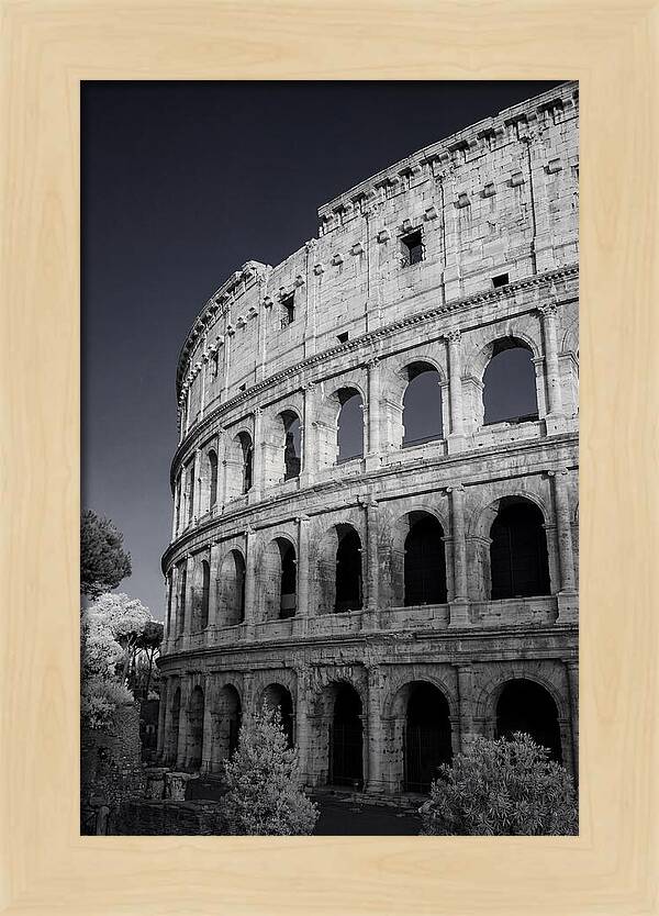 Golden Hour Over The Colosseum