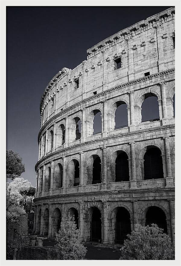 Golden Hour Over The Colosseum