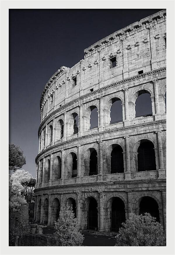 Golden Hour Over The Colosseum