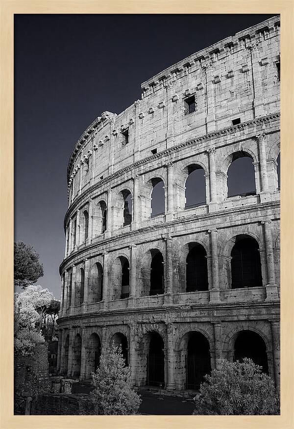 Golden Hour Over The Colosseum