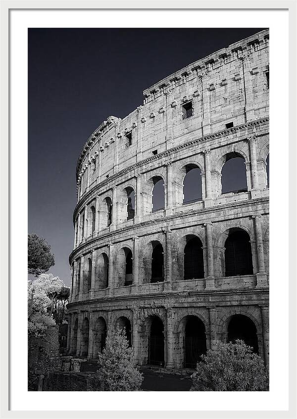 Golden Hour Over The Colosseum