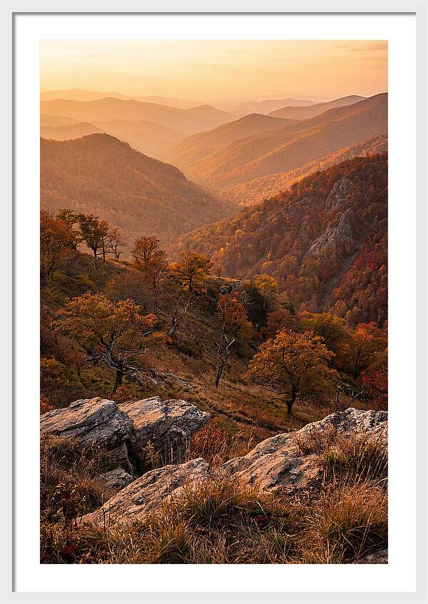 Golden Hour Overlook