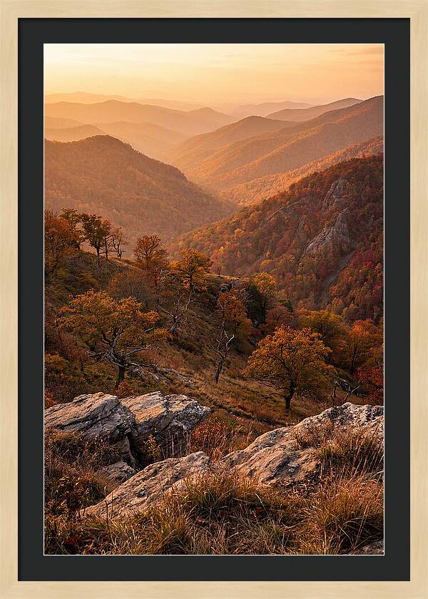 Golden Hour Overlook