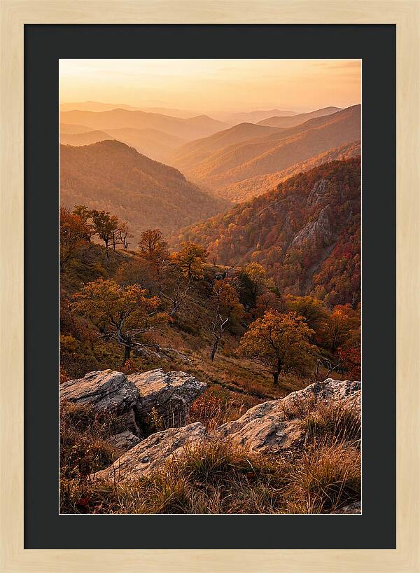 Golden Hour Overlook