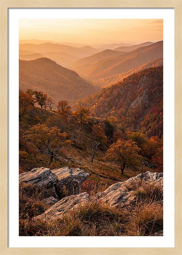 Golden Hour Overlook