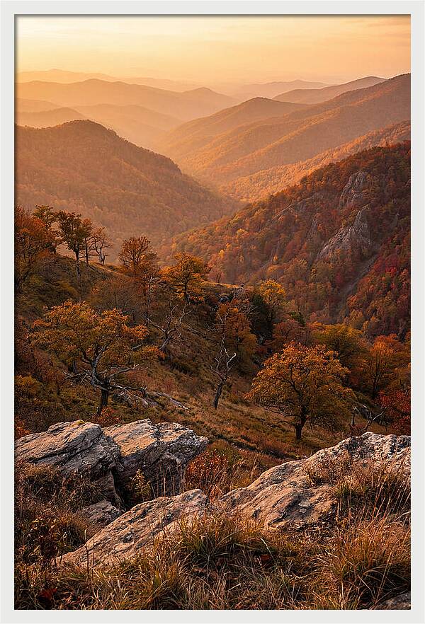 Golden Hour Overlook