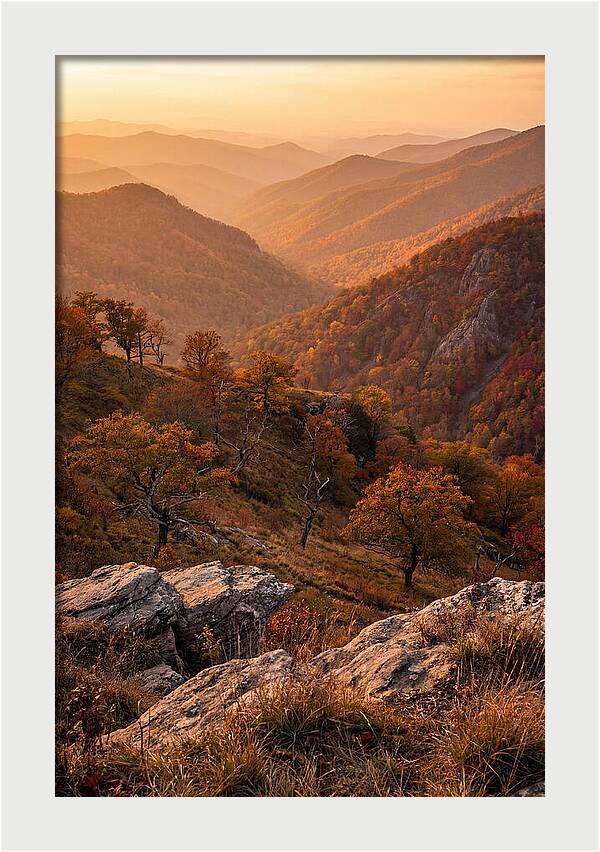 Golden Hour Overlook