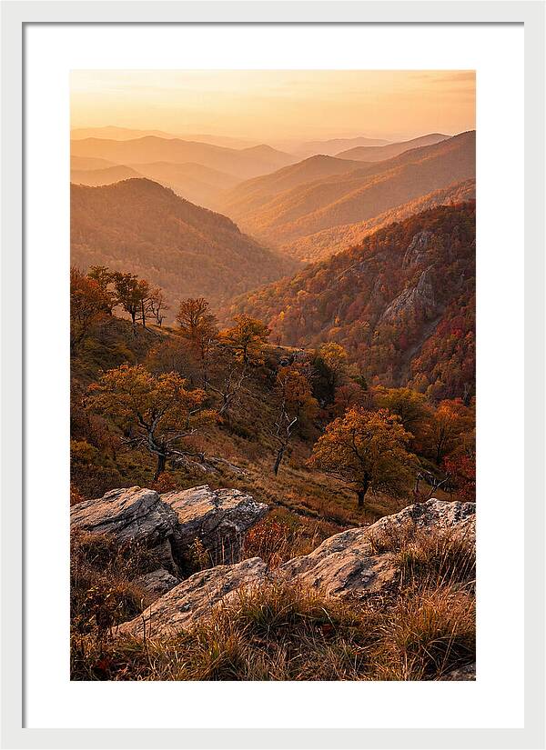 Golden Hour Overlook