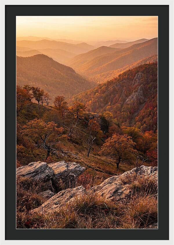 Golden Hour Overlook