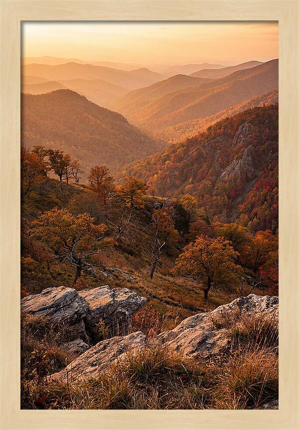 Golden Hour Overlook