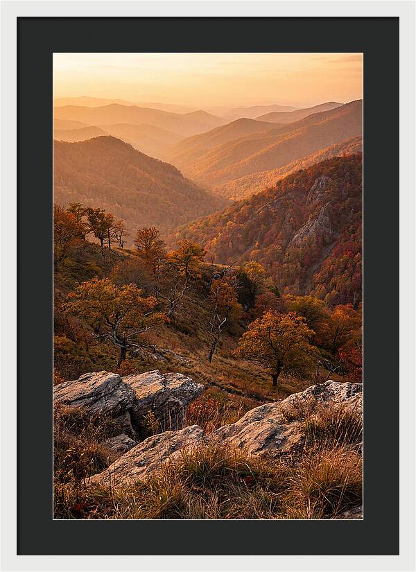 Golden Hour Overlook