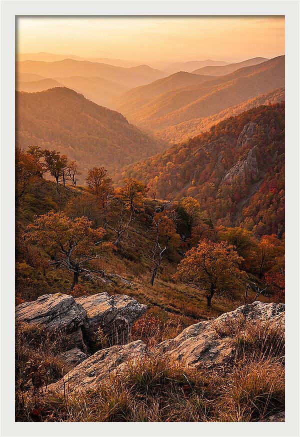 Golden Hour Overlook