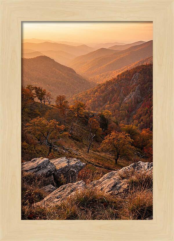 Golden Hour Overlook