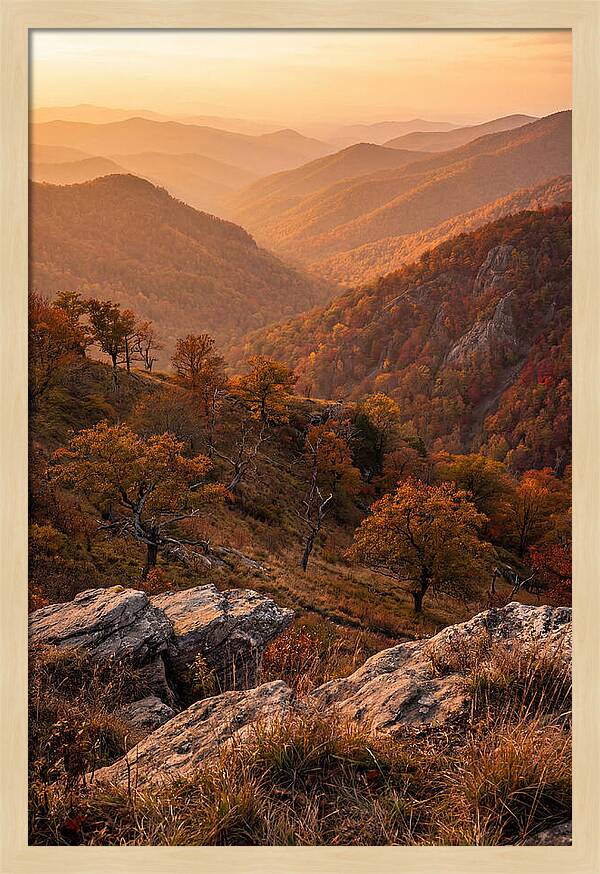 Golden Hour Overlook