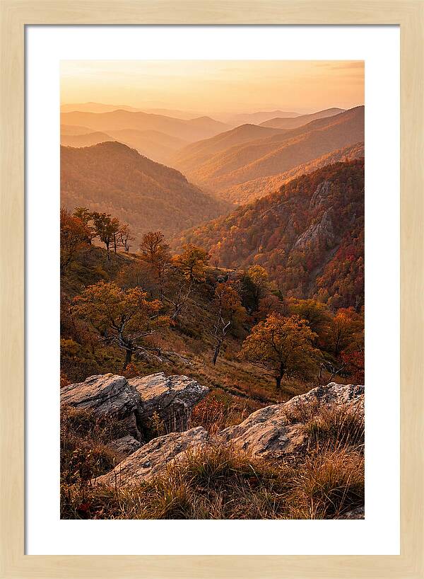 Golden Hour Overlook