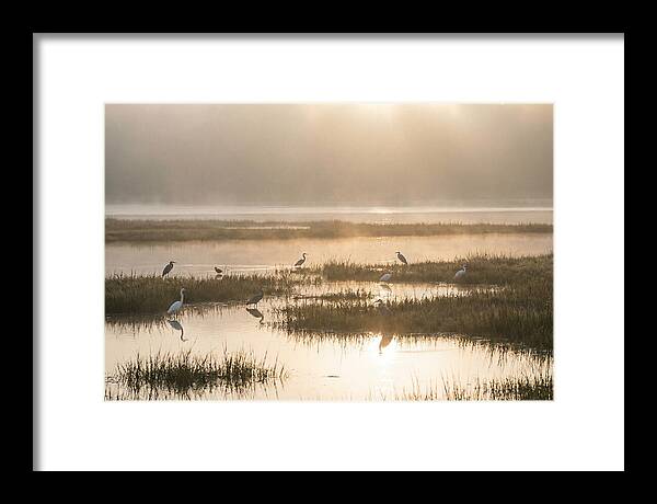 Golden Light On Calm Estuary