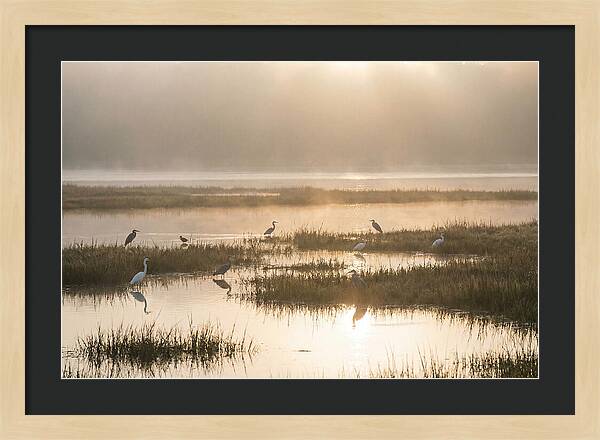 Golden Light On Calm Estuary