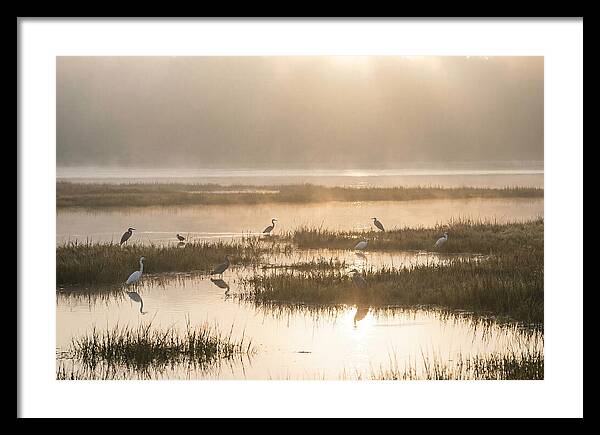 Golden Light On Calm Estuary