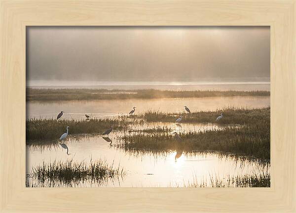 Golden Light On Calm Estuary
