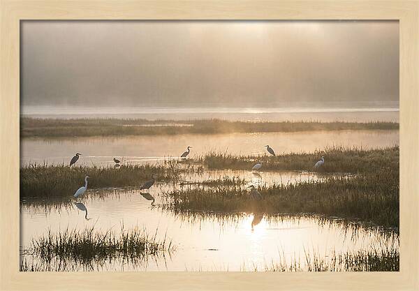Golden Light On Calm Estuary