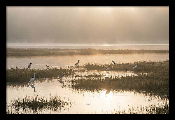 Golden Light On Calm Estuary